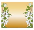 Banner with a vertical border of white lilies on a gold background. Vector