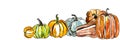 Banner with Watercolor pumpkins set, autumn harvest season or Thanksgiving clipart, collection of vegetables isolated on white