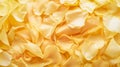 Banner for website with closeup view of yellow layers of flower petals. Royalty Free Stock Photo