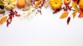 Banner with white background and autumn natural decoration from various colorful plants Royalty Free Stock Photo