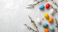 Banner on a white background of willow twigs and Easter multi-colored eggs.
