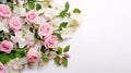 Banner, white empty field, on the side pink rose flowers with green leaves and petals. Space for your own content. Flowering Royalty Free Stock Photo