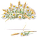 Banner with Wild Chamomile and Wheat EarsBunch.