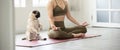 Banner of woman practice yoga lotus pose with dog pug breed enjoy and relax with yoga in living room at home Royalty Free Stock Photo