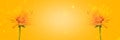 Banner of yellow summer corepsis flower on yellow background with bokeh Royalty Free Stock Photo