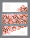 Banners with beautiful roses Royalty Free Stock Photo