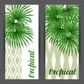 Banners with palms leaves. Decorative image tropical leaf of palm tree Livistona Rotundifolia. Image for holiday