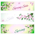 Banners with spring flowering branches of trees Royalty Free Stock Photo