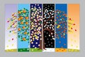 Banners with tree in different seasons Royalty Free Stock Photo