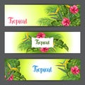 Banners with tropical leaves and flowers. Palms branches, bird of paradise flower, hibiscus Royalty Free Stock Photo