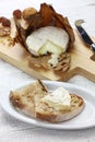 Banon a la feuille, french goat cheese