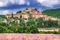 Banon, Provence - Lavender field landscape in France Royalty Free Stock Photo