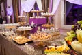 Banquet table with different food snacks, appetizers and dessetrs on corporate christmas birthday party event or wedding