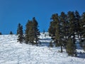 Winter view of Ski area of Resort of Bansko, Pirin Mountain