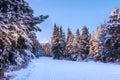 Bansko, Bulgaria forest, ski slope at dawn Royalty Free Stock Photo