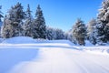 Bansko ski slope and snow pine trees, Bulgaria