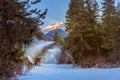 Bansko, Bulgaria forest, ski road run at dawn Royalty Free Stock Photo