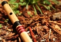 Bansuri flute Royalty Free Stock Photo