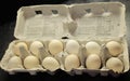 BANTAM CHICKEN EGGS