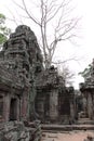 Banteay Kedi Temple in Angkor