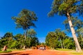 Banteay Srei in Forest