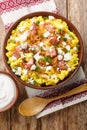 Banush or banosh is a Ukrainian dish prepared from cornmeal with cream topped with bacon, onion and bryndza closeup on the bowl.