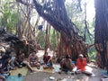 Banyan tree, Arambol, Goa, India Royalty Free Stock Photo
