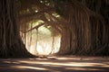 Banyan Tree india symbol with copy space