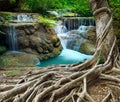 Banyan tree and limestone waterfalls in purity deep forest use n