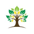 Banyan Tree Logo Design Royalty Free Stock Photo