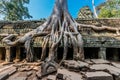 Banyan tree Ta Prohm Angkor Wat Cambodia Royalty Free Stock Photo