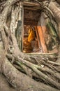 The Banyan Tree Temple,Thailand