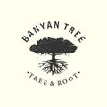 banyan tree with vintage style logo vector design illustration, oak tree icon design Royalty Free Stock Photo