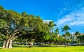 Banyan trees at Fort DeRussy Beach Park in Honolulu, Hawaii Royalty Free Stock Photo