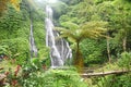 Banyumala waterfall at Buleleng regency of Bali - Indonesia Royalty Free Stock Photo