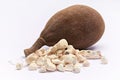 Baobab fruit Adansonia digitata on white background Royalty Free Stock Photo