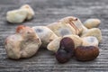 Baobab fruit Adansonia digitata on white background, pulp and