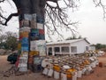 Baobab in Gambia. Africa.