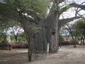 Baobab Safari Ngorongoro - Tarangiri in AfricÃÂ°