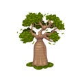 Baobab with a thick barrel. Vector illustration on white background.