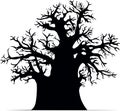 Baobab tree Royalty Free Stock Photo