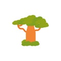 Baobab tree botanical nature australia icon on white background