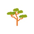 Baobab tree botanical nature australia icon on white background