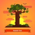 Baobab tree evening sunset scene Royalty Free Stock Photo