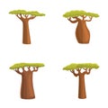 Baobab tree icons set cartoon vector. Green african baobab tree