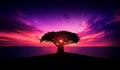 Baobab Tree at Sunset - African Landscape - Calm - Relaxing - Tranquility Royalty Free Stock Photo