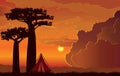 Baobab trees, backpacking tent, sunset sky