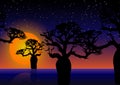 Baobab trees At night. Beautiful sunset night sky with stars over Boab tree silhouette. Multi color tropical woodland tree vector Royalty Free Stock Photo