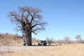 Baobabtree Royalty Free Stock Photo