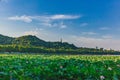 Baoshi Hill and Baochu Pagoda over lotus leaves and flowers in West Lake in Hangzhou, China